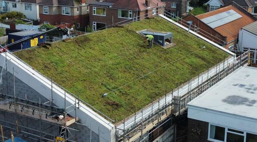 Green & Insulated Roofs